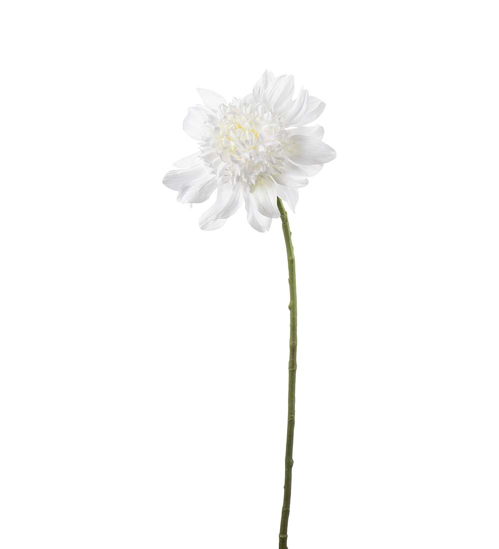 Dahlia Branch 62 cm - White