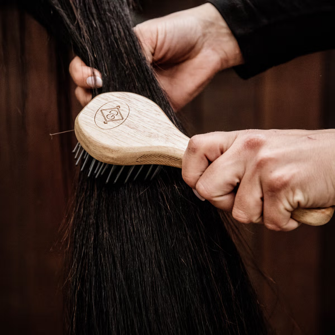 KENTUCKY GD MANE BRUSH  - 3