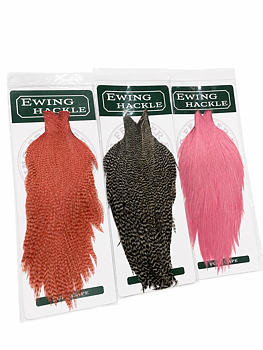 Ewing Rooster Cape
