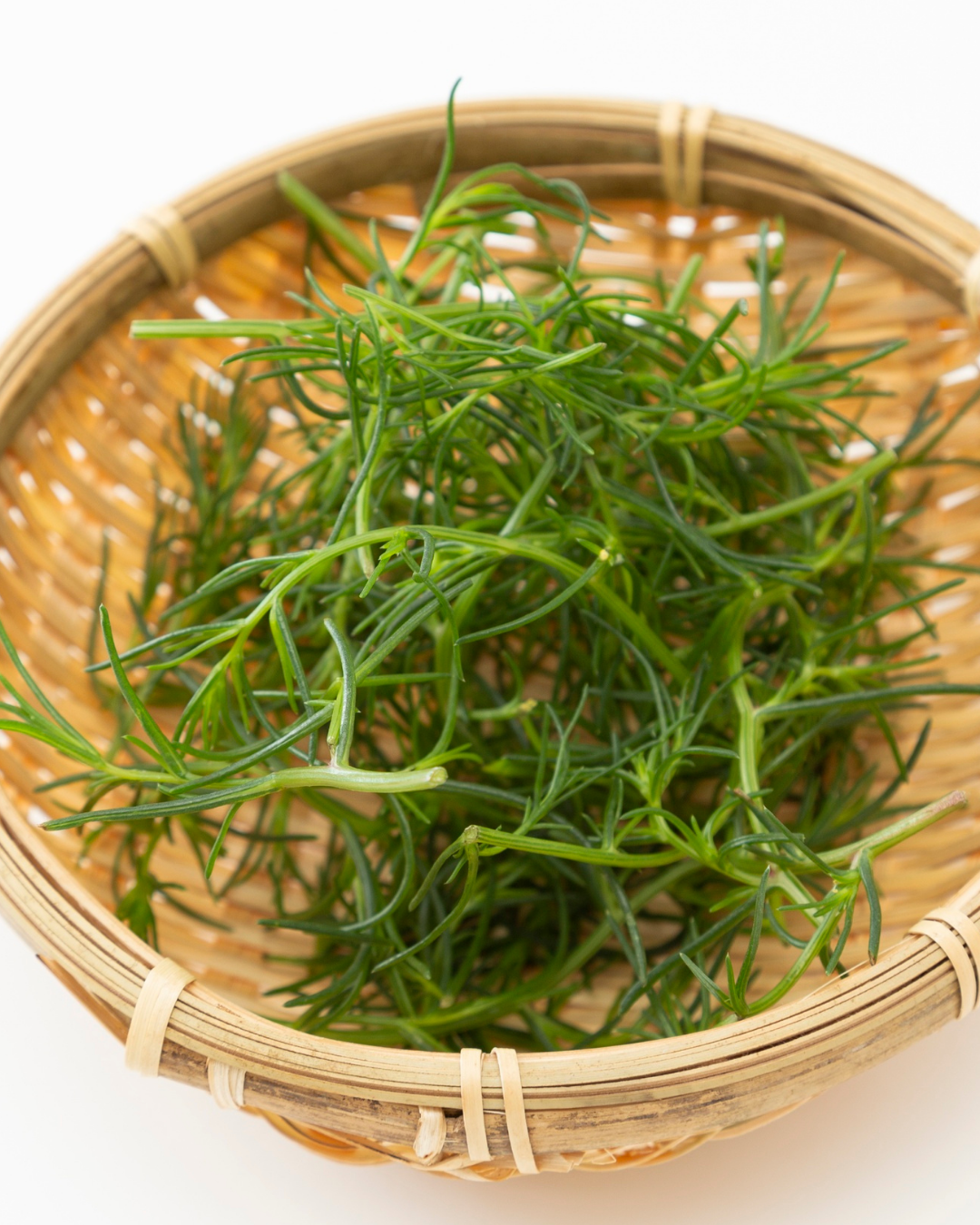 Japansk sodaört - Okahijiki