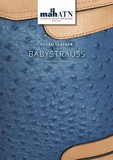 Provkarta Baby Struts