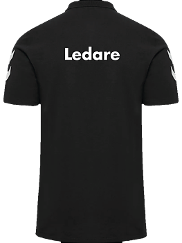 LEDARE hmlGo 2.0 Chevron Polo Herr (H43)