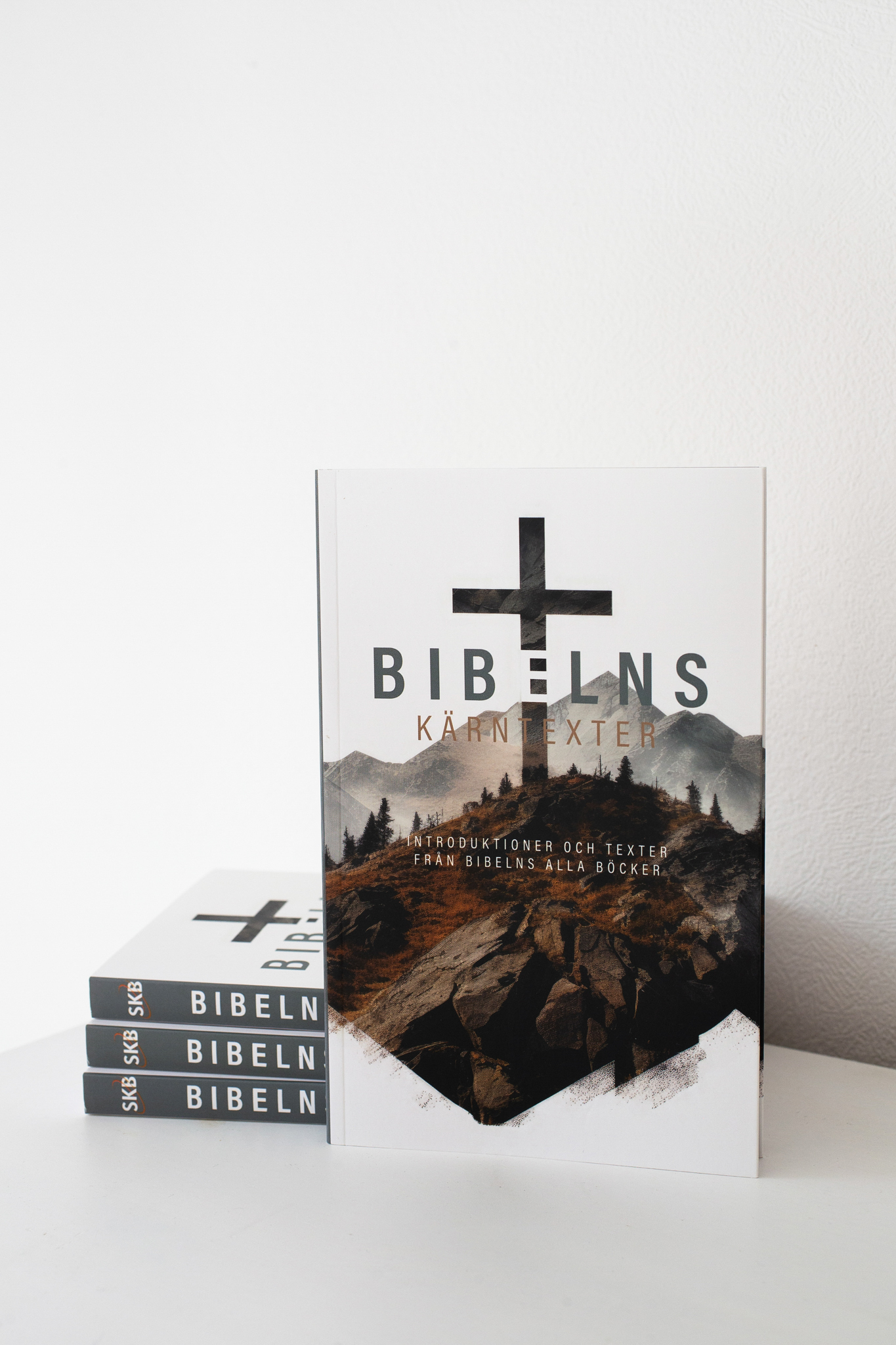 Bibelns Kärntexter - 2