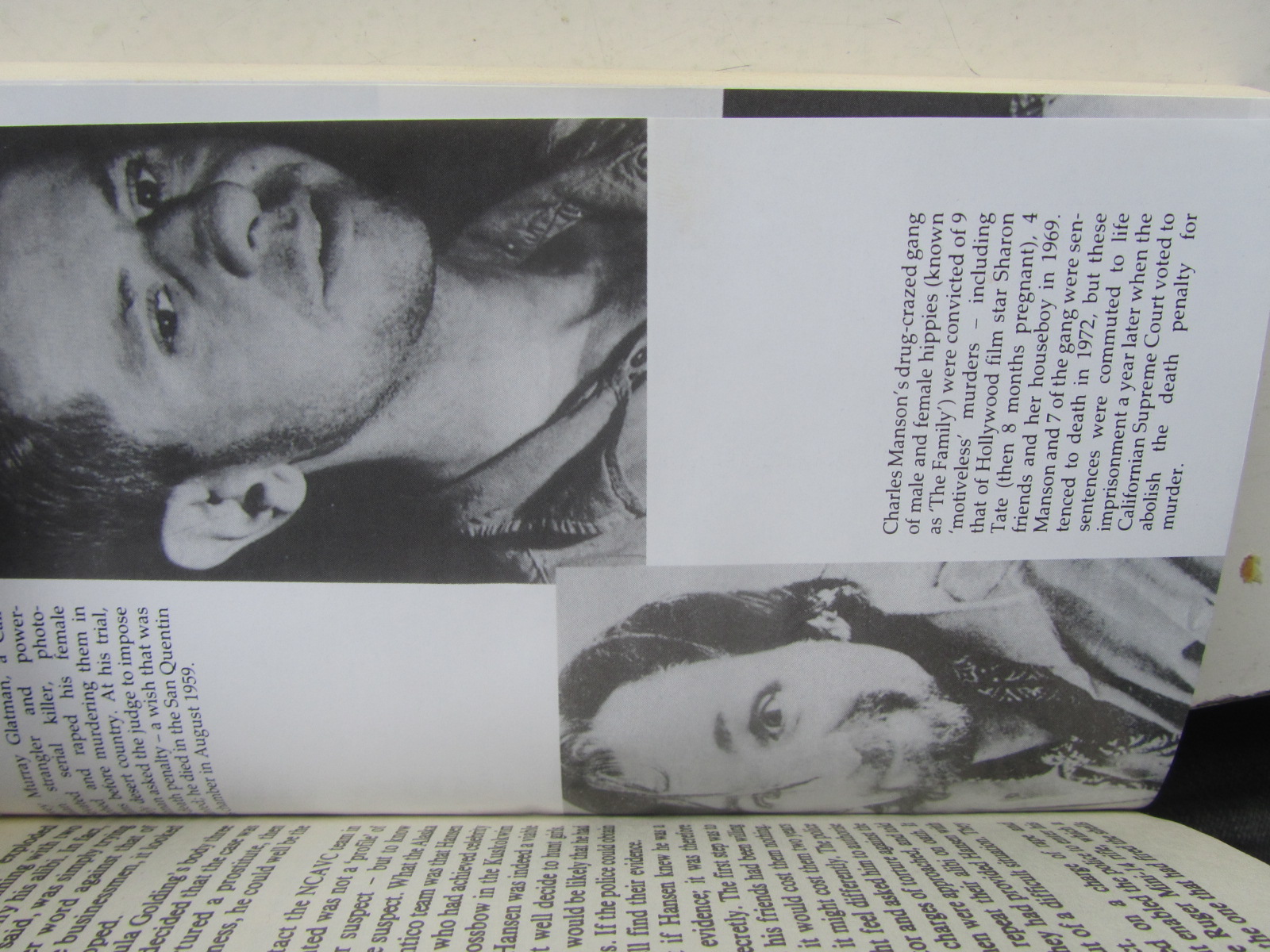 Serial Killers av Colin Wilson - 3
