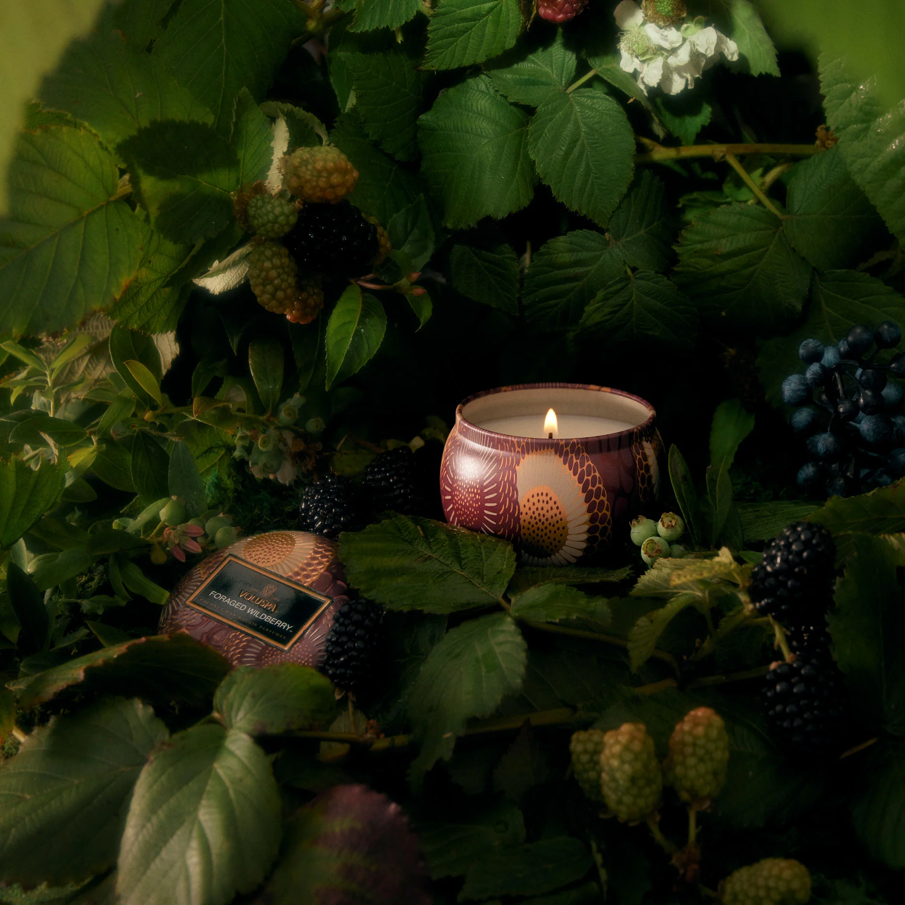 Voluspa Foraged Wildberry Mini Tin - 3