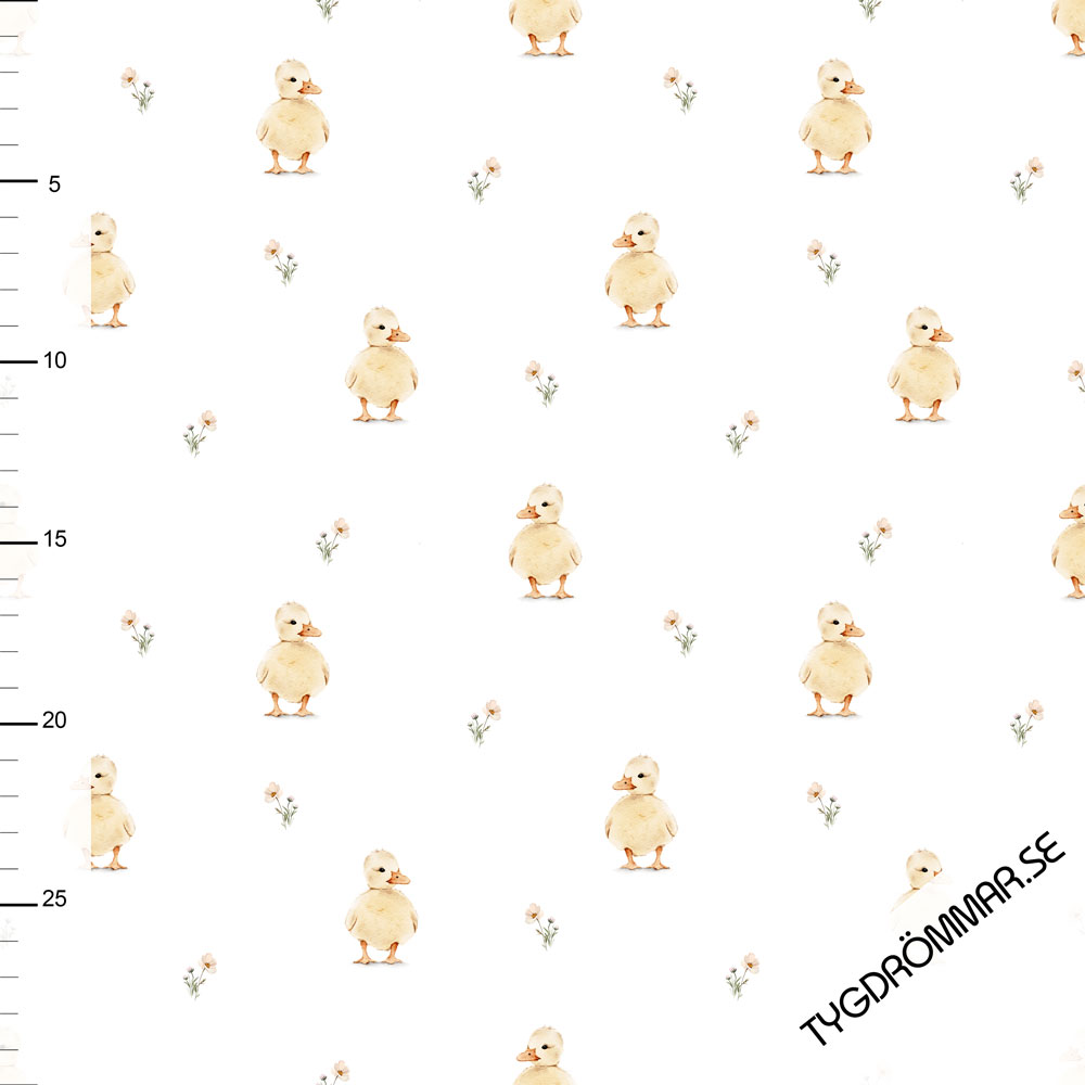 SWEET DUCK - POINTELLE JERSEY - 5