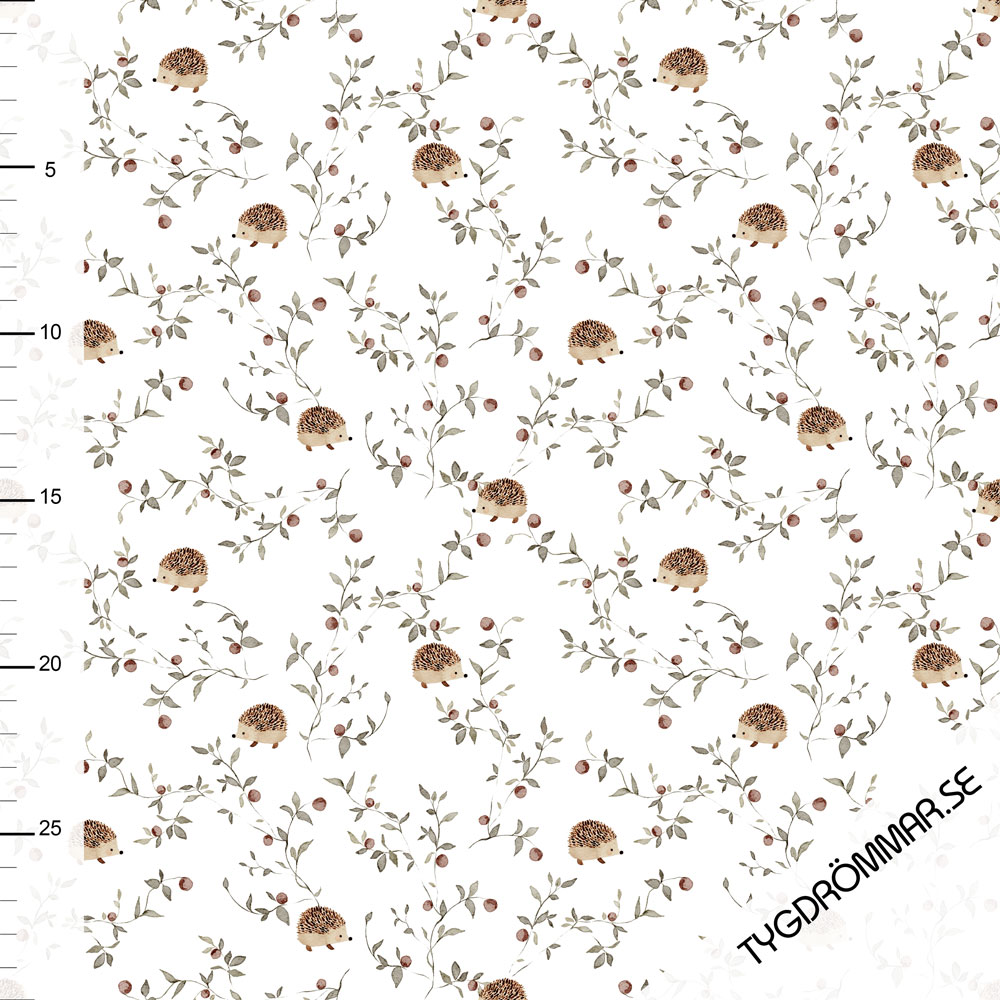 MINI HEDGEHOG - POINTELLE JERSEY - 5
