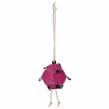 QHP Hästleksak Rosa boll 