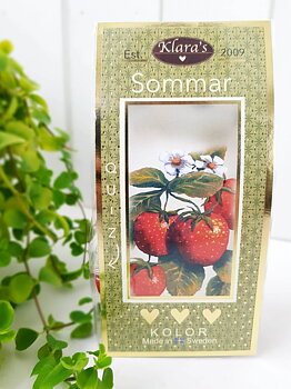 Kola Sommar Quiz -Grön