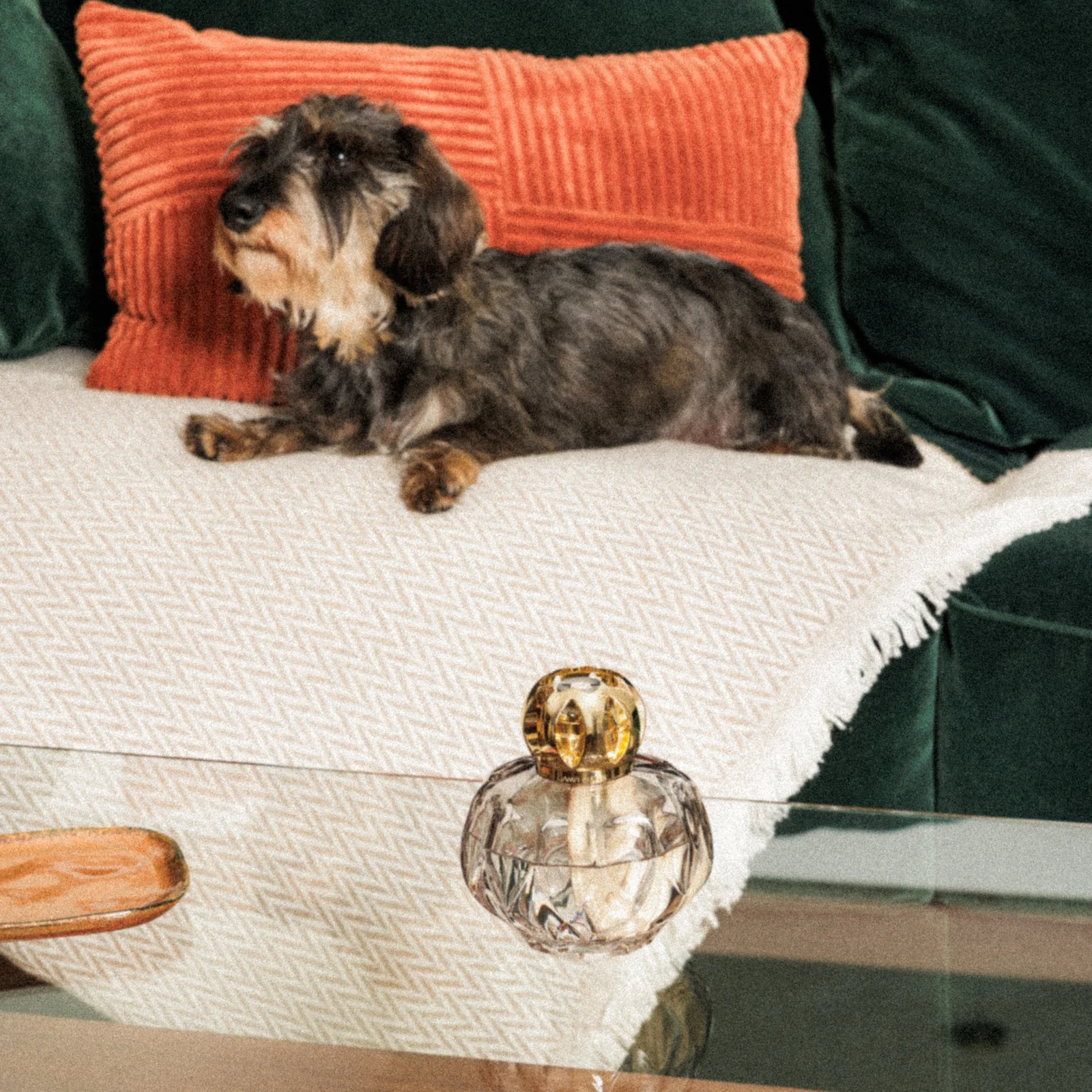 Maison Berger Presentset - Rosalie Grey - Doftlampa + 1 st Doft (Exquisite Sparkle) - 2