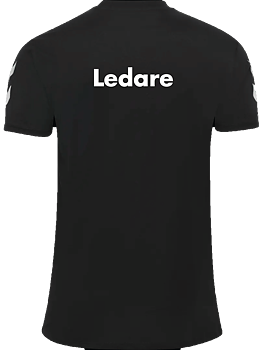 LEDARE Hummel Go 2.0 Chevron T-shirt Dam (H43)