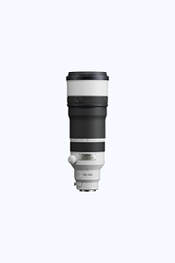 Sony FE 100-400/4.5 GM OSS för E
