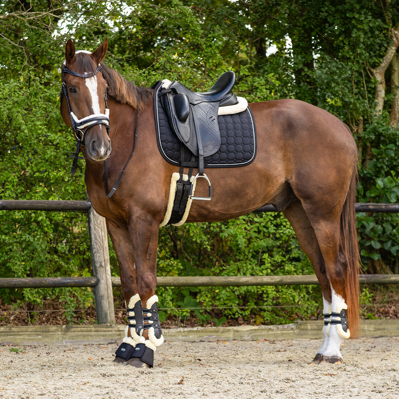 QHP anatomical bridle Ontario Extra Sensitive' (incl. reins), black - 7