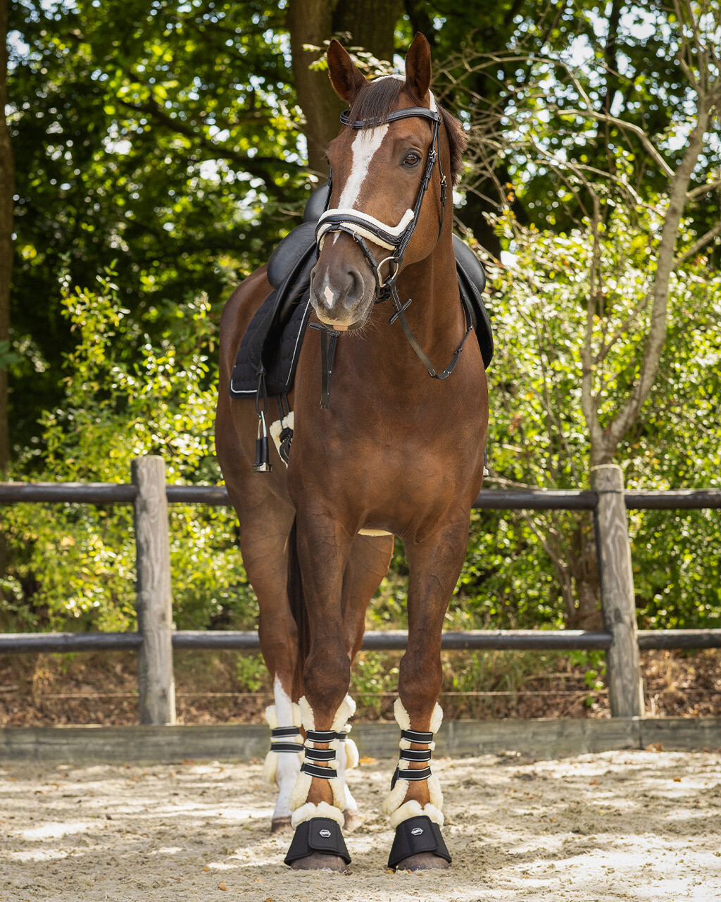 QHP anatomical bridle Ontario Extra Sensitive' (incl. reins), black - 11
