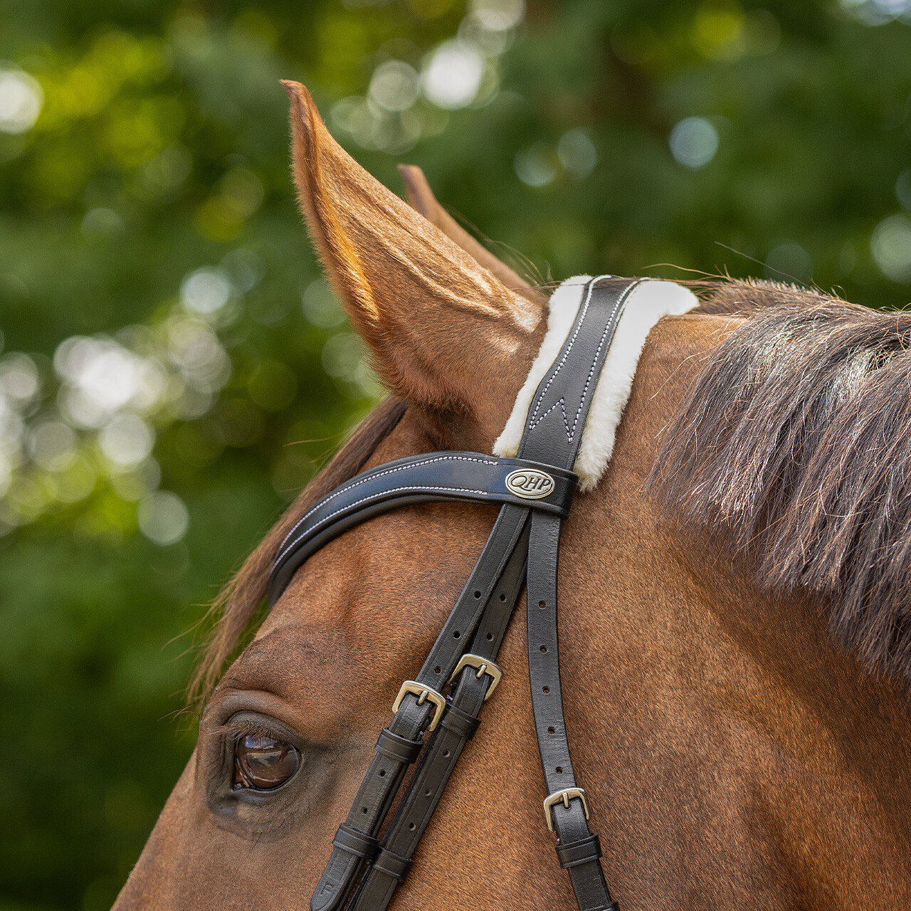 QHP anatomical bridle Ontario Extra Sensitive' (incl. reins), black - 9