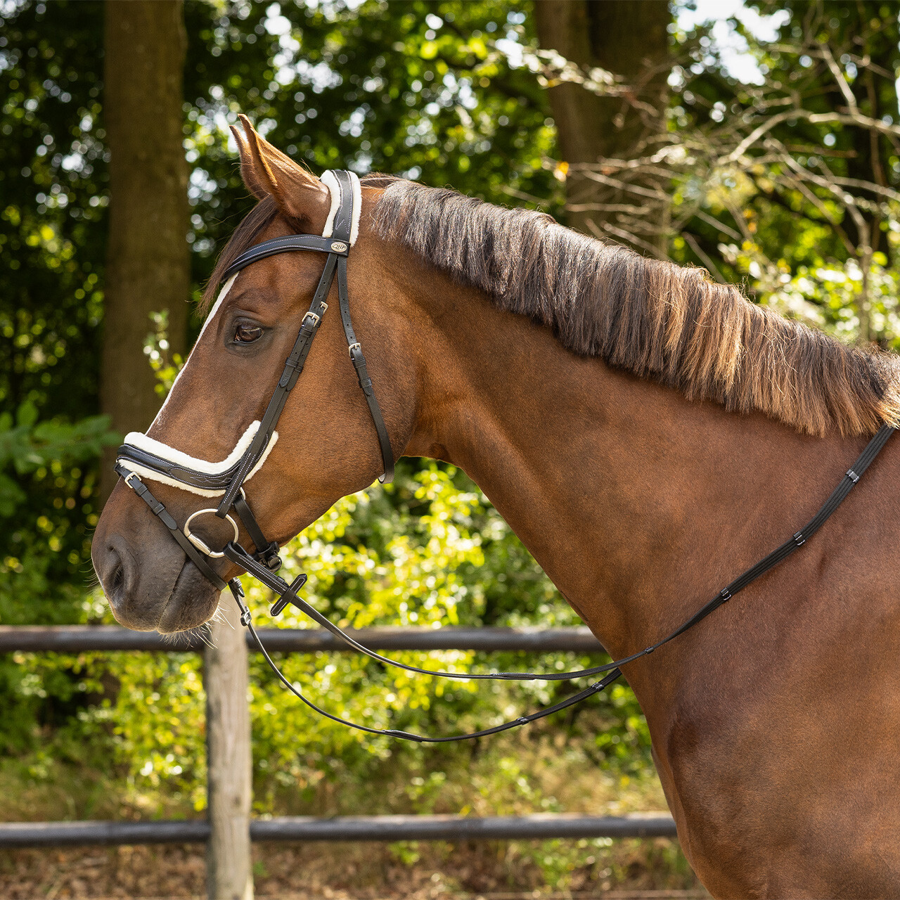 QHP anatomical bridle Ontario Extra Sensitive' (incl. reins), black - 10