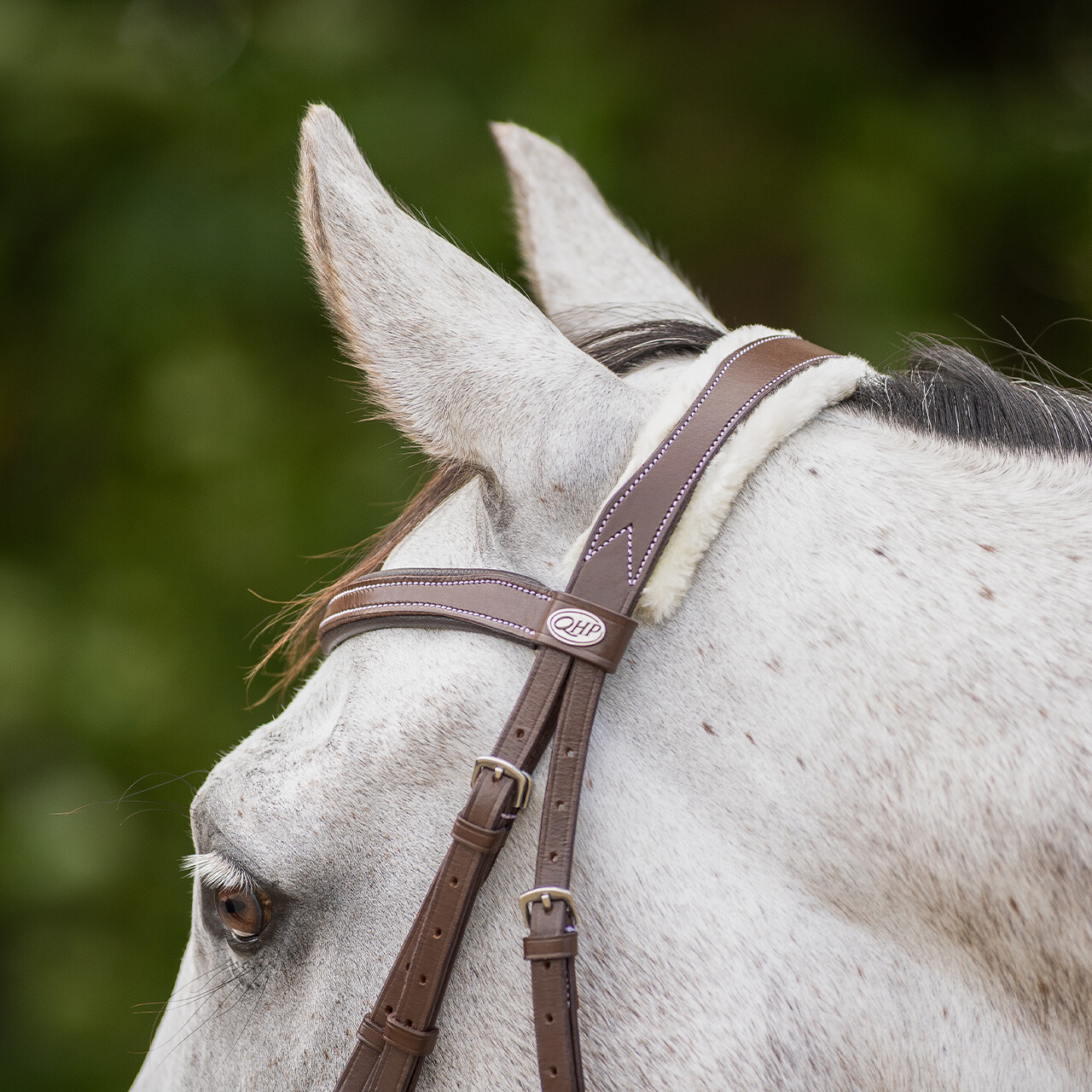 QHP anatomical bridle Ontario Extra Sensitive' (incl. reins), brown - 3