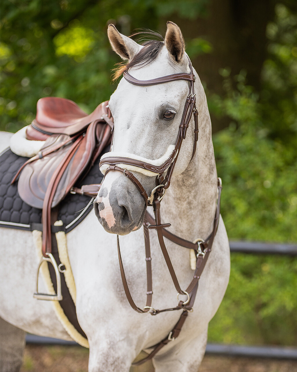 QHP anatomical bridle Ontario Extra Sensitive' (incl. reins), brown - 4