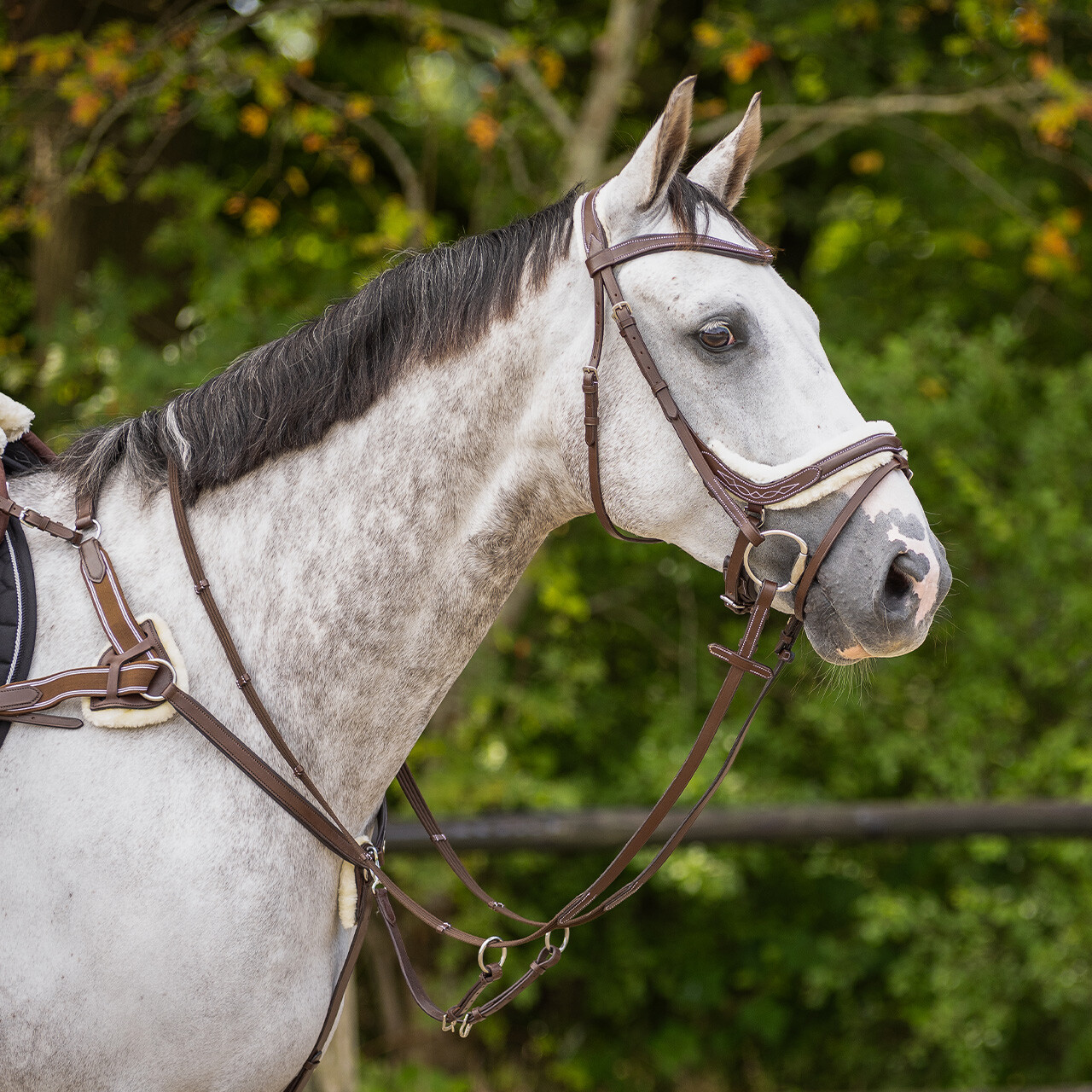 QHP anatomical bridle Ontario Extra Sensitive' (incl. reins), brown - 5