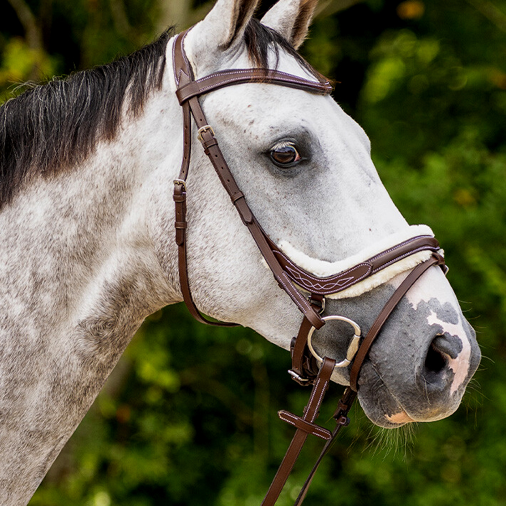QHP anatomical bridle Ontario Extra Sensitive' (incl. reins), brown