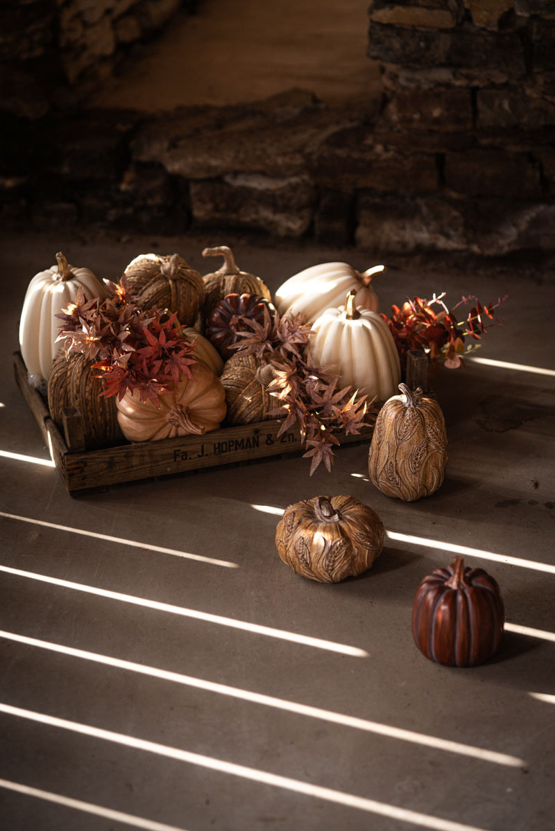 Decoration Pumpkin - 20 cm - 4