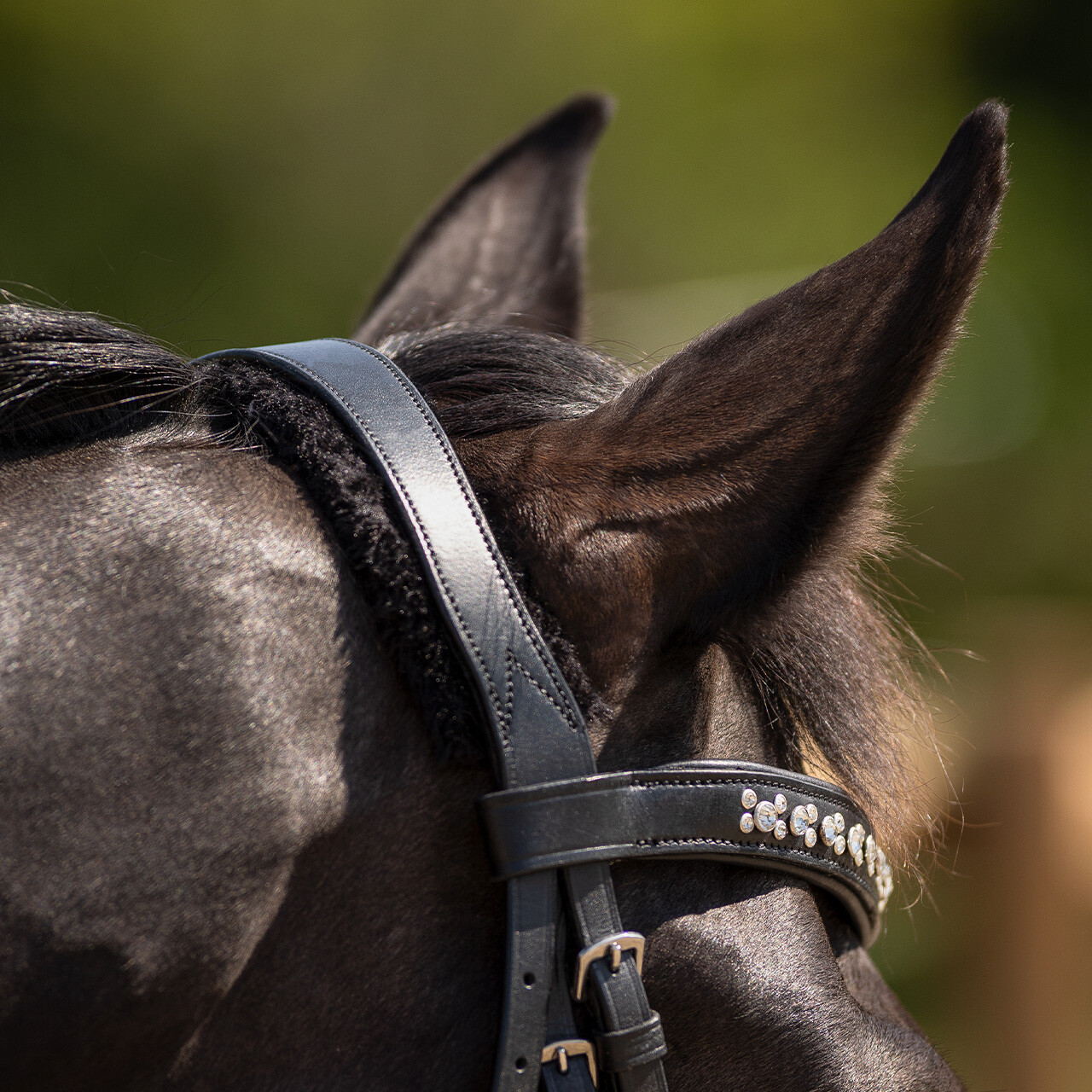 QHP anatomical bridle Sensisoft (incl. reins), black - 5