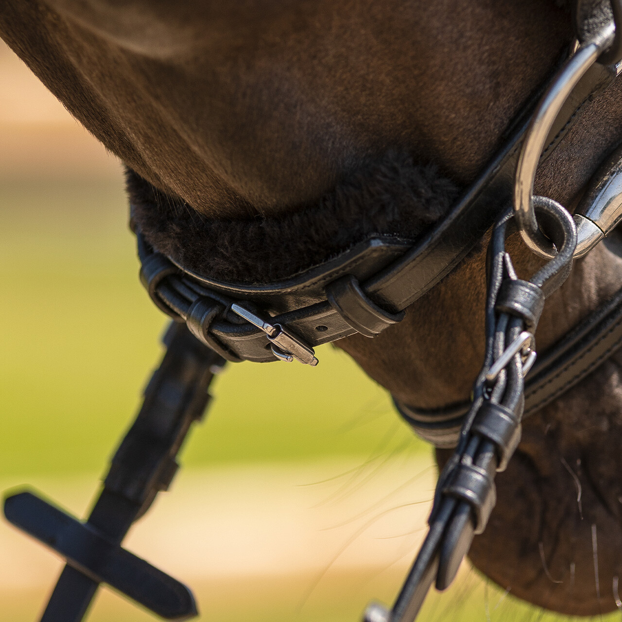 QHP anatomical bridle Sensisoft (incl. reins), black - 4