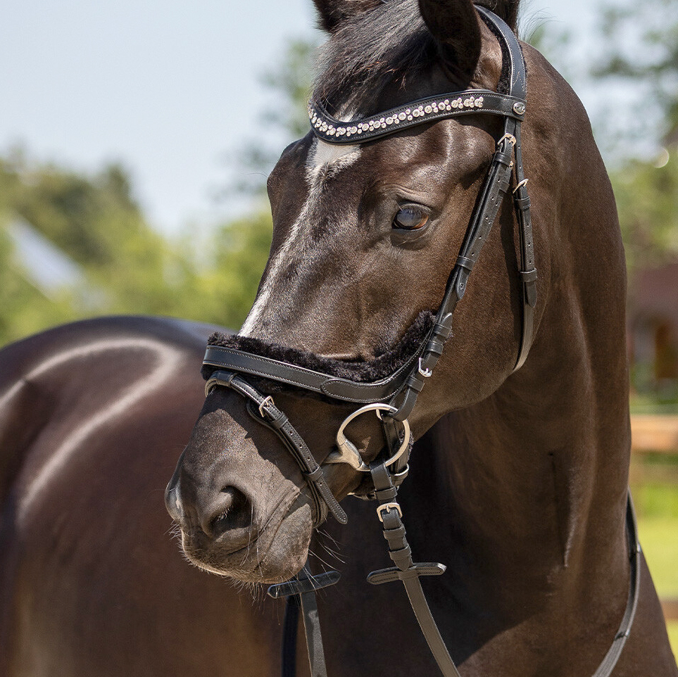 QHP anatomical bridle Sensisoft (incl. reins), black