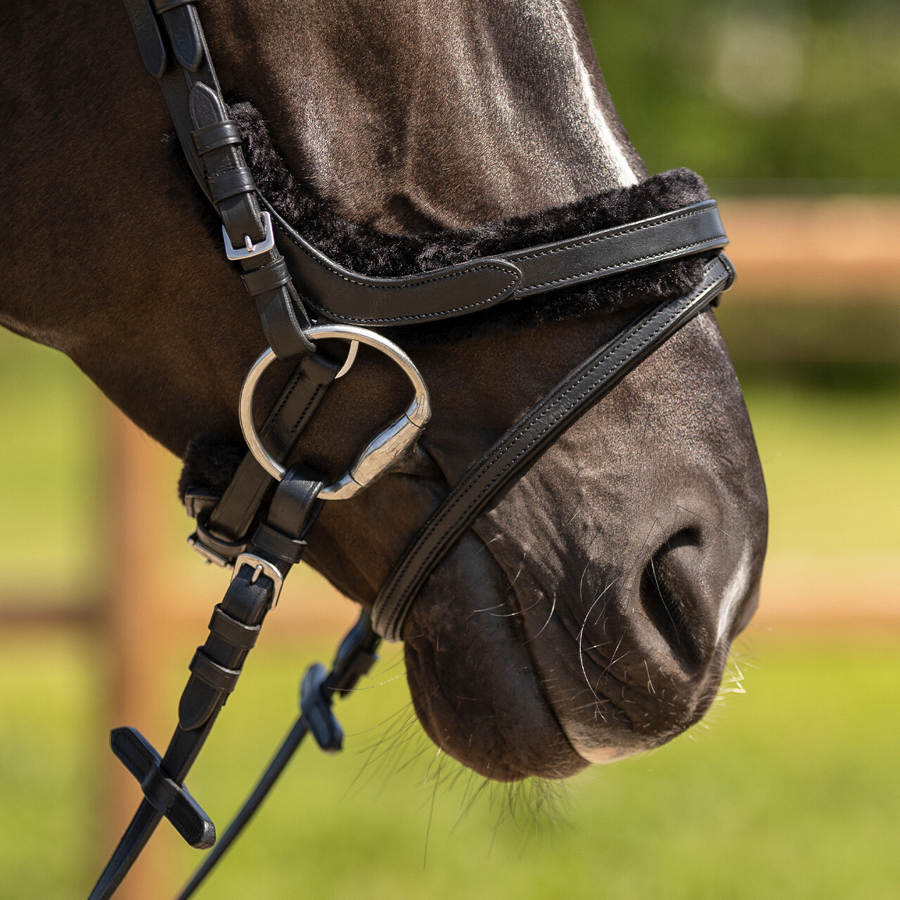 QHP anatomical bridle Sensisoft (incl. reins), black - 2