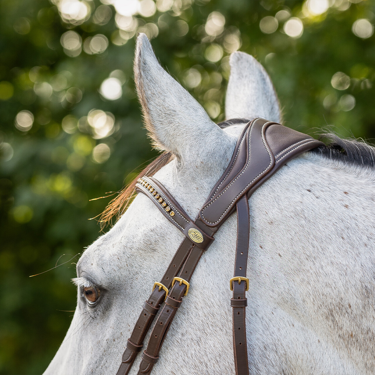 QHP anatomical bridle Devi Extra Sensitive' (incl. reins), brown - 3