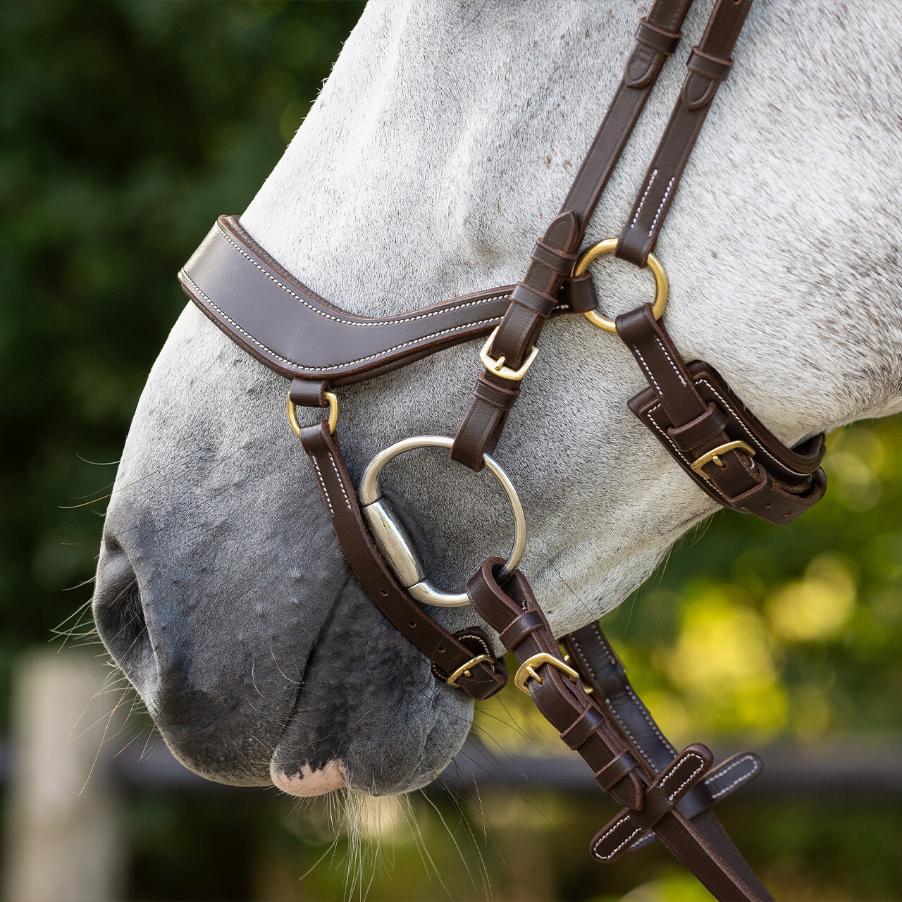 QHP anatomical bridle Devi Extra Sensitive' (incl. reins), brown - 2