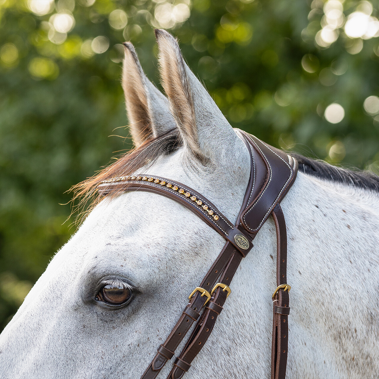 QHP anatomical bridle Devi Extra Sensitive' (incl. reins), brown - 4