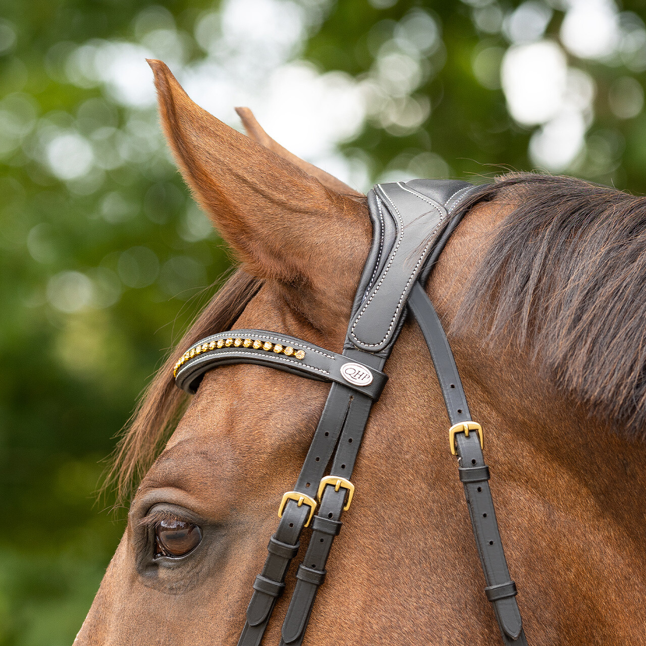 QHP anatomical bridle Devi Extra Sensitive' (incl. reins), black - 4