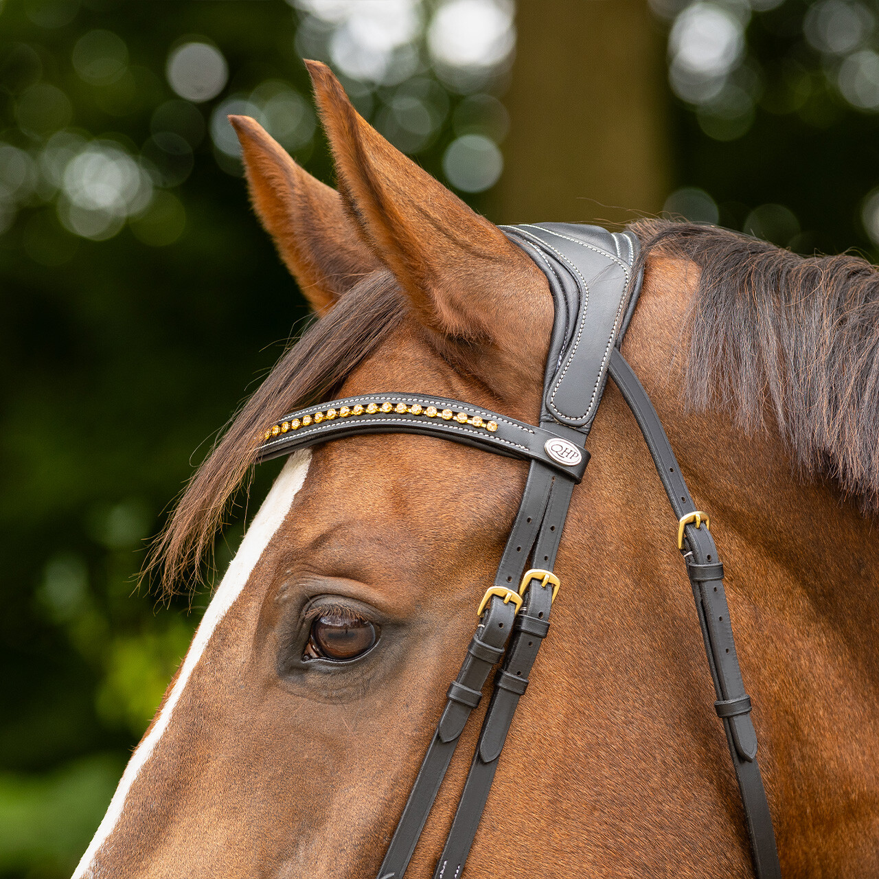 QHP anatomical bridle Devi Extra Sensitive' (incl. reins), black - 5
