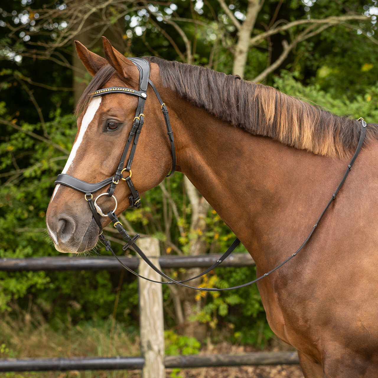QHP anatomical bridle Devi Extra Sensitive' (incl. reins), black - 6