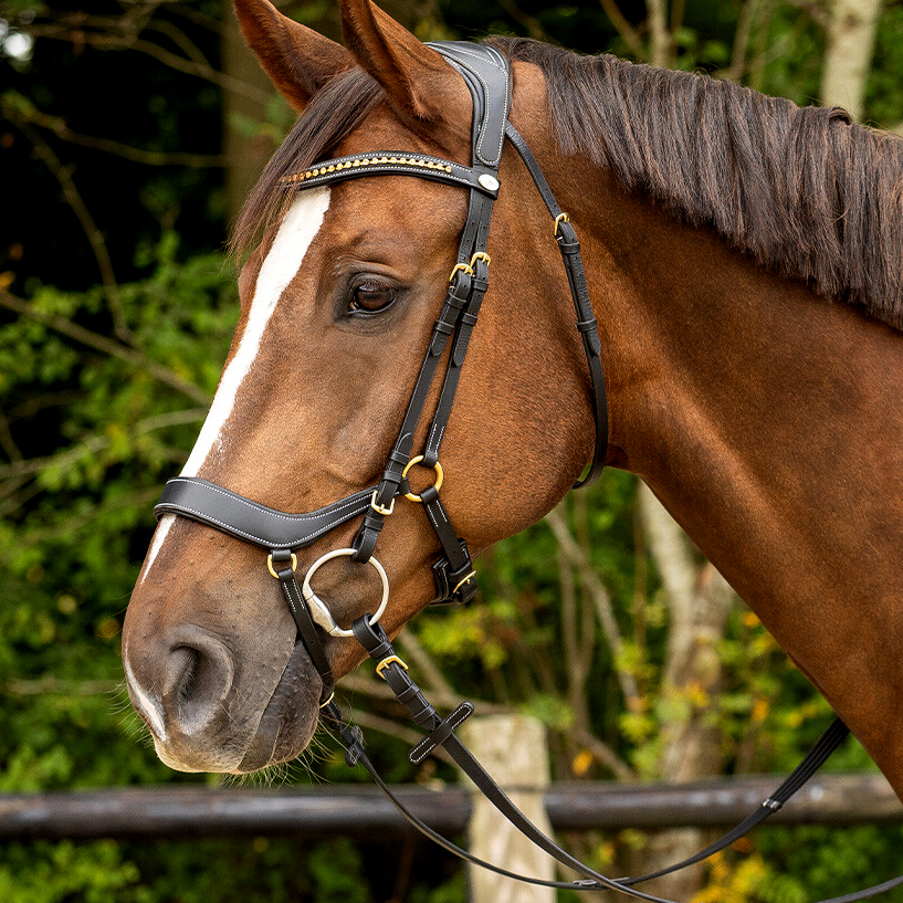 QHP anatomical bridle Devi Extra Sensitive' (incl. reins), black