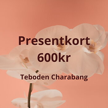 Presentkort 600 kr