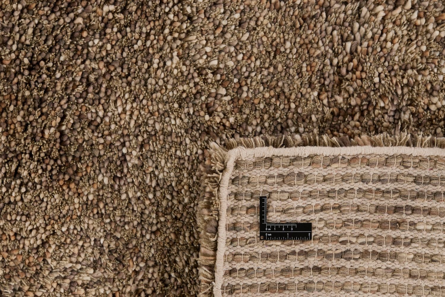 Coral Beige - 6
