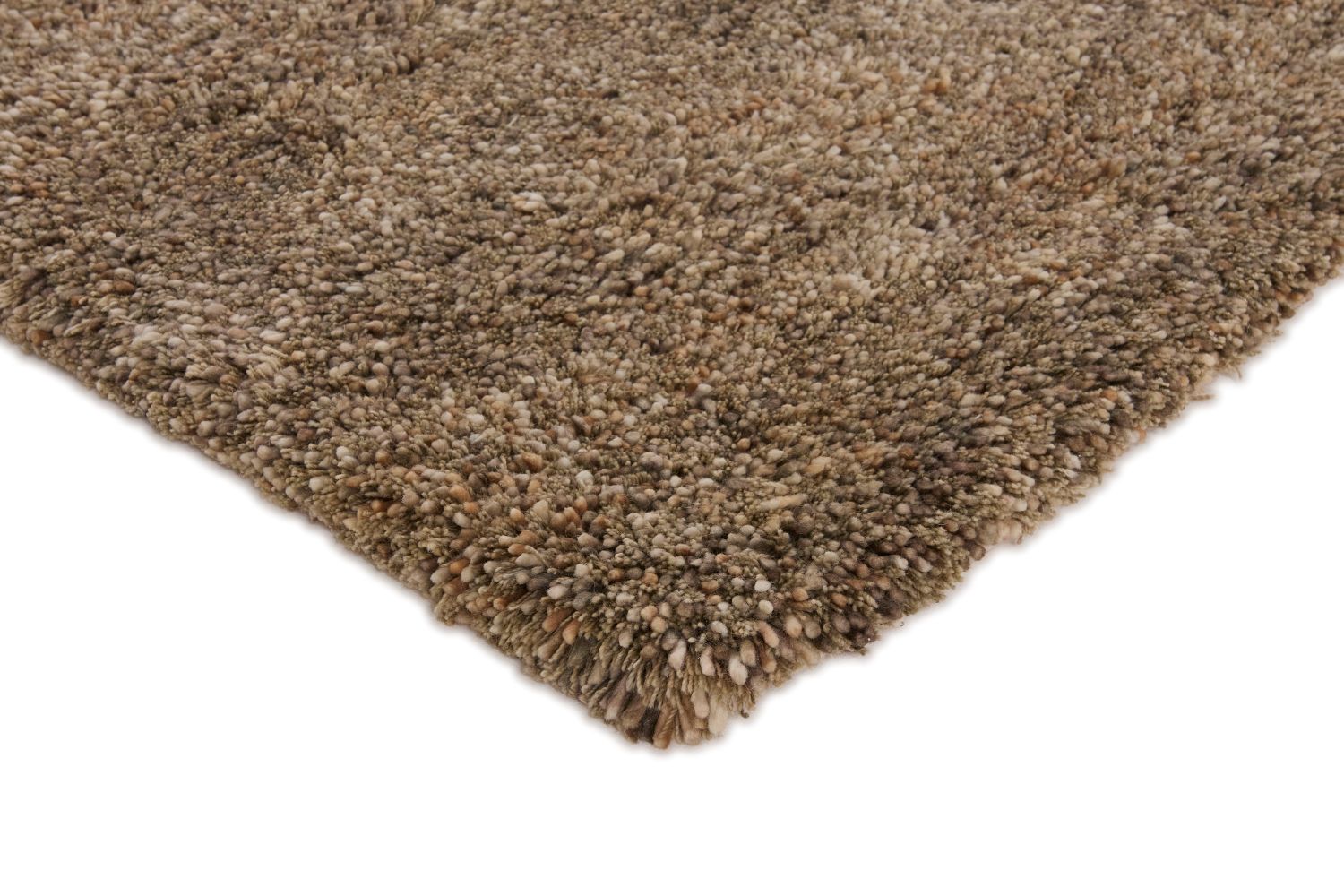 Coral Beige - 3