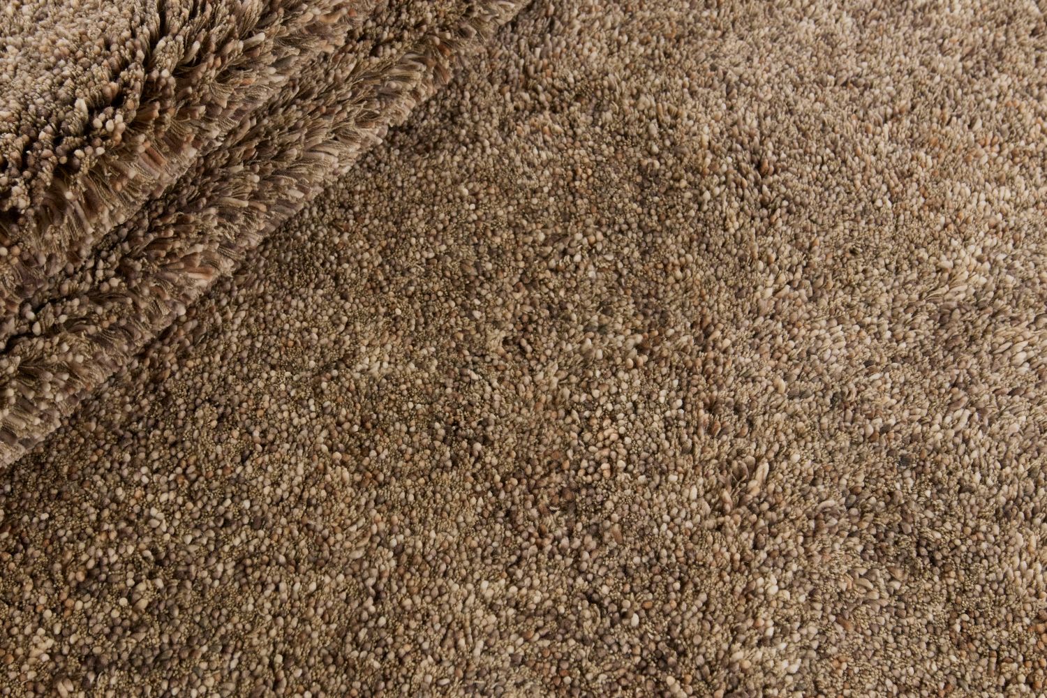 Coral Beige - 2