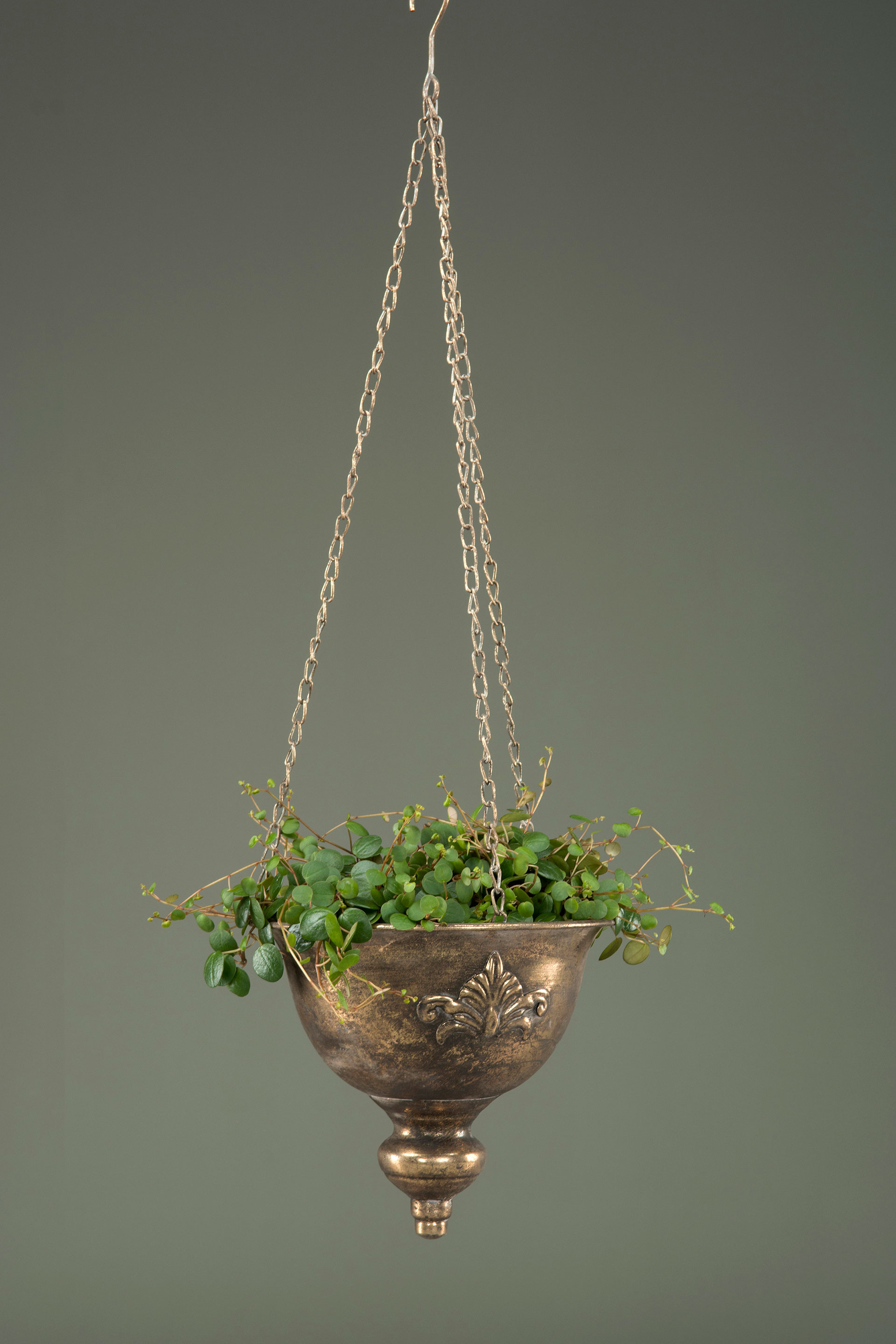 Ampel Baron Guldbrun - 20 cm - Guld