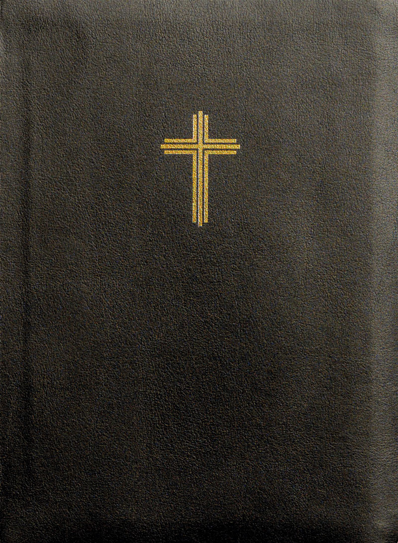 Bibel 2026 med noter – svart konstskinn