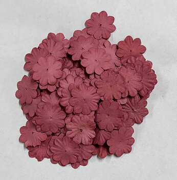 Pappersblommor 20 mm raspberry 100-p