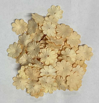 Pappersblommor 20 mm creme 100-p