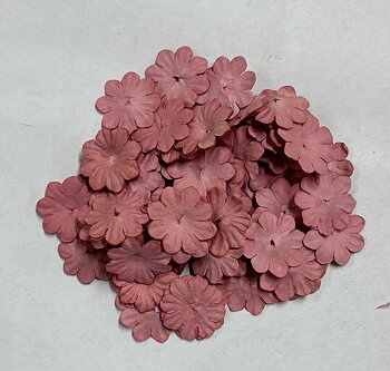 Pappersblommor 20 mm old rose 100-p