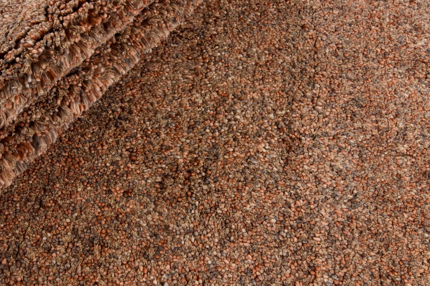 Coral Terra - 2