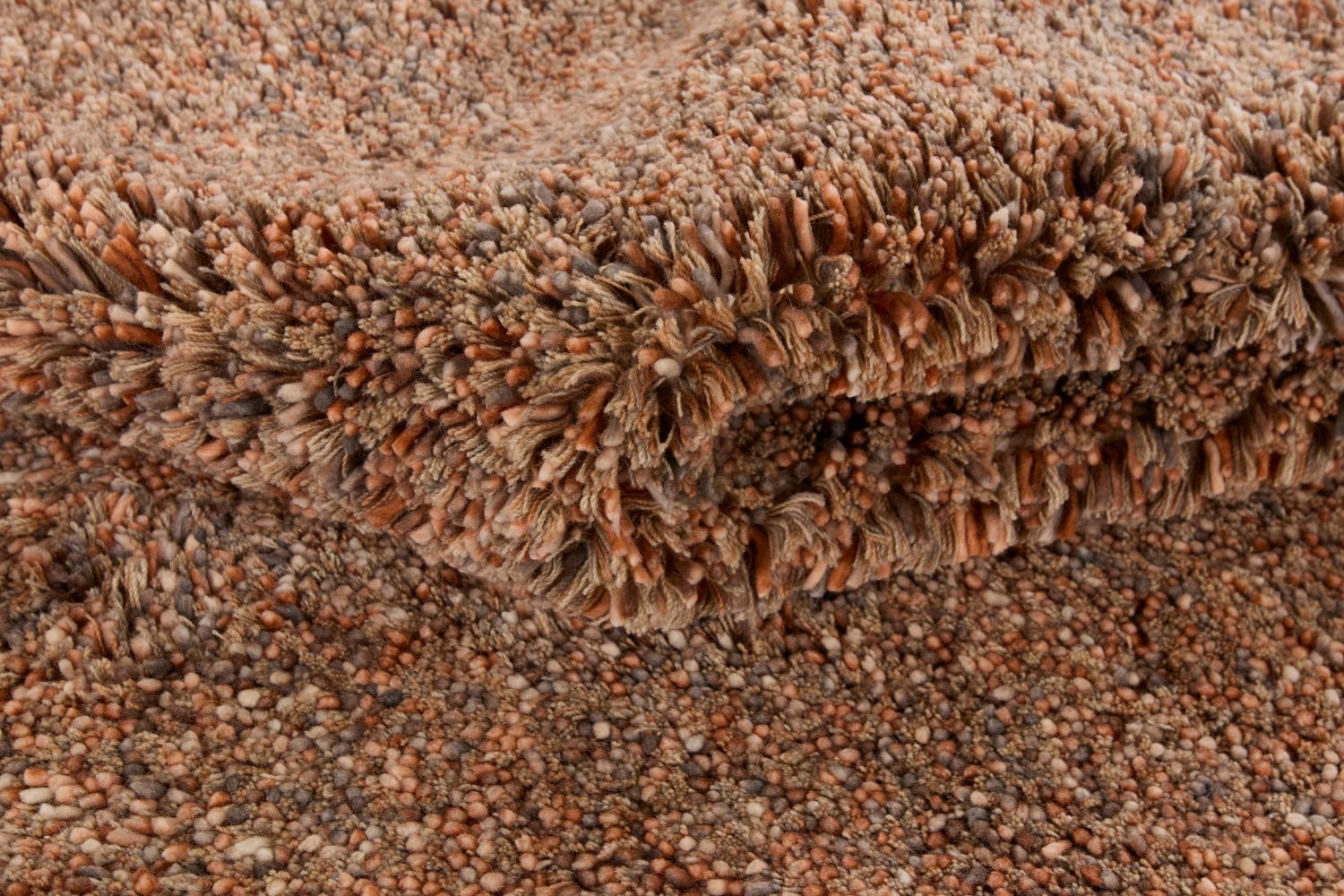 Coral Terra - 5
