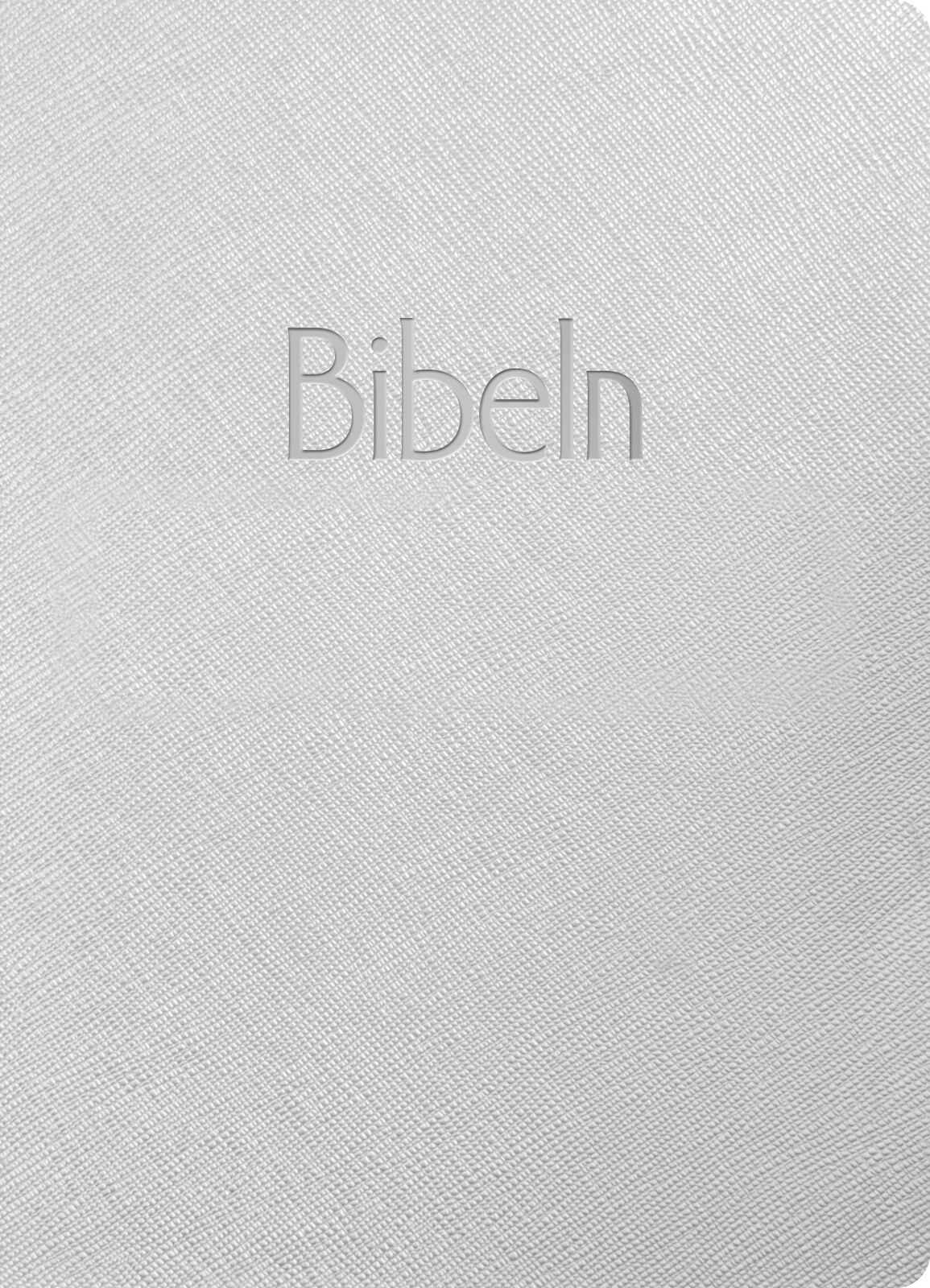 Bibel 2026 silver