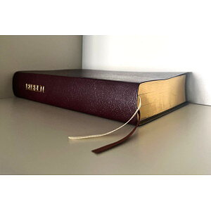 Reformationsbibeln - Helbibel - Vinröd - Bonded leather