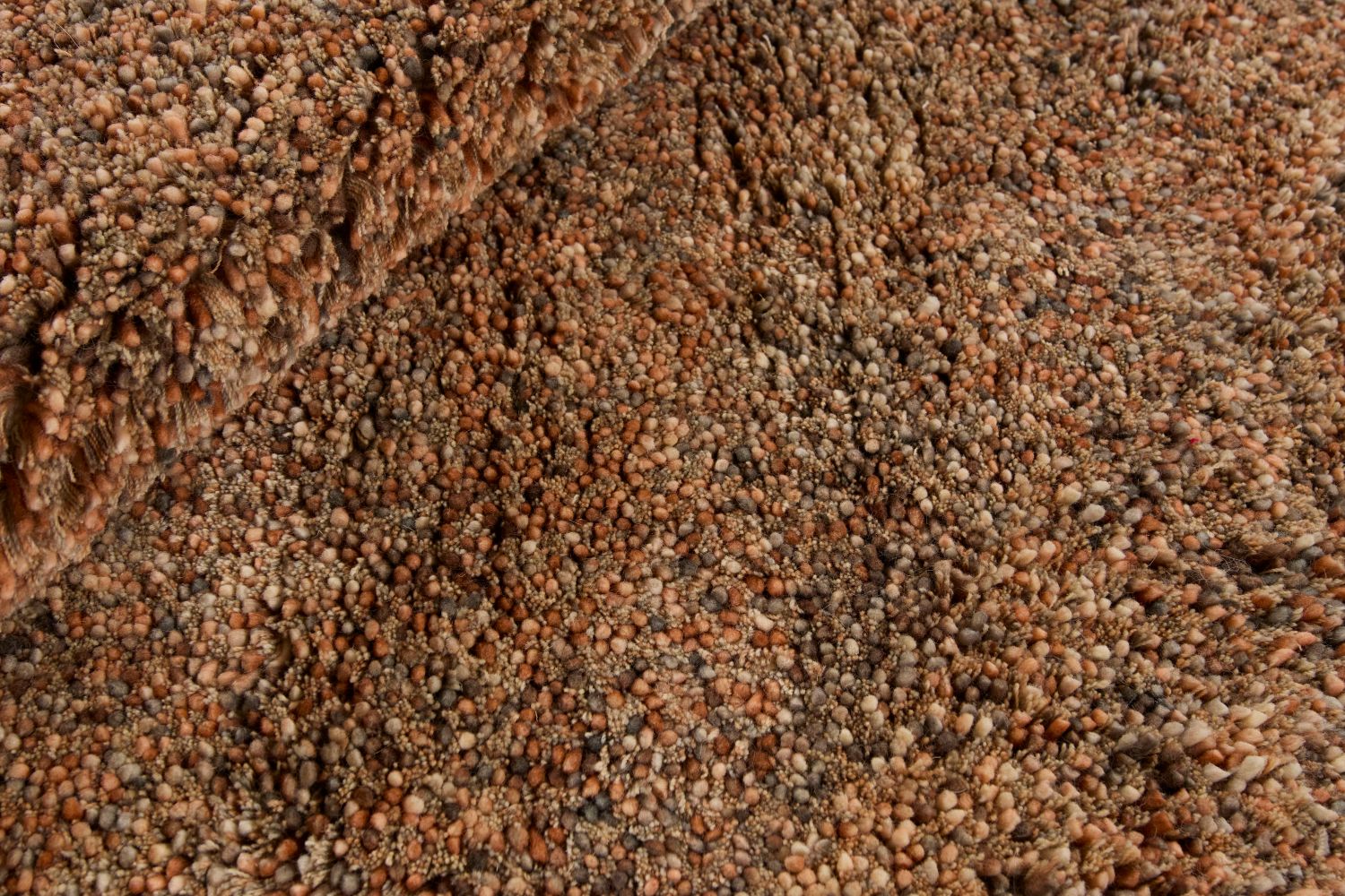 Coral Terra Rund - 2